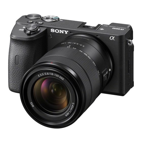 SONY a6600